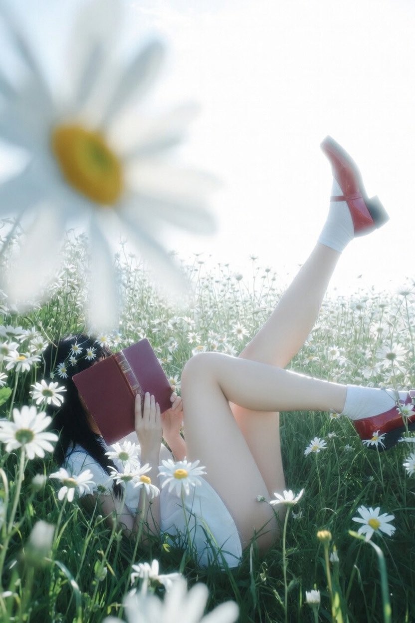 Dreamy Summer Daisy Escape